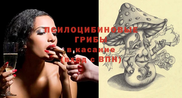ПСИЛОЦИБИНОВЫЕ ГРИБЫ Медногорск