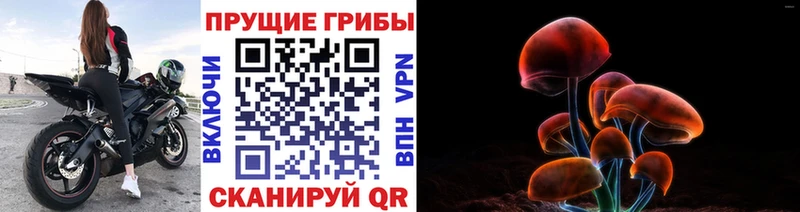 mega ссылка  купить  сайты  Белорецк  Галлюциногенные грибы Psilocybine cubensis 