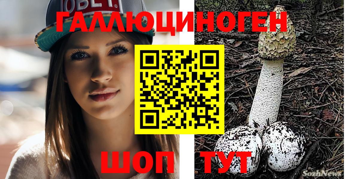 Галлюциногенные грибы Cubensis Белорецк