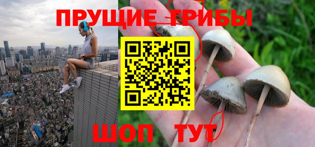 Псилоцибиновые грибы мухоморы Белорецк